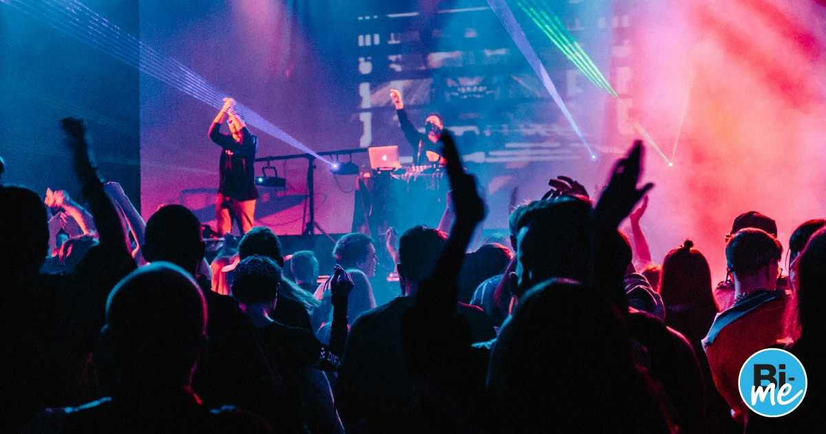 A crowd watching a concert